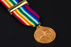 2013 Currie_Medal_Small_BRONZE